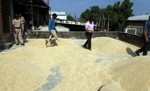 pulses seized